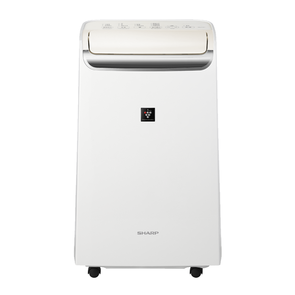 DW-P10FT-W
