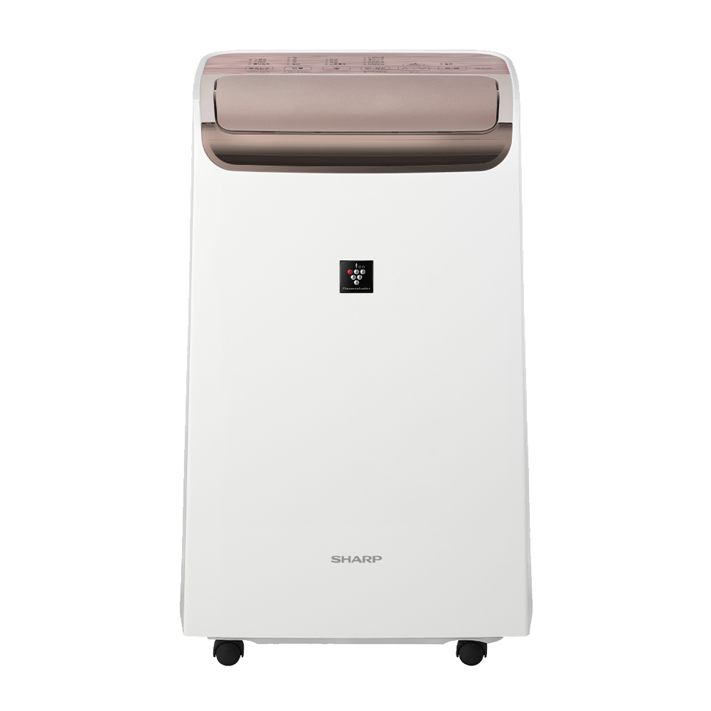 DW-P12FT-W