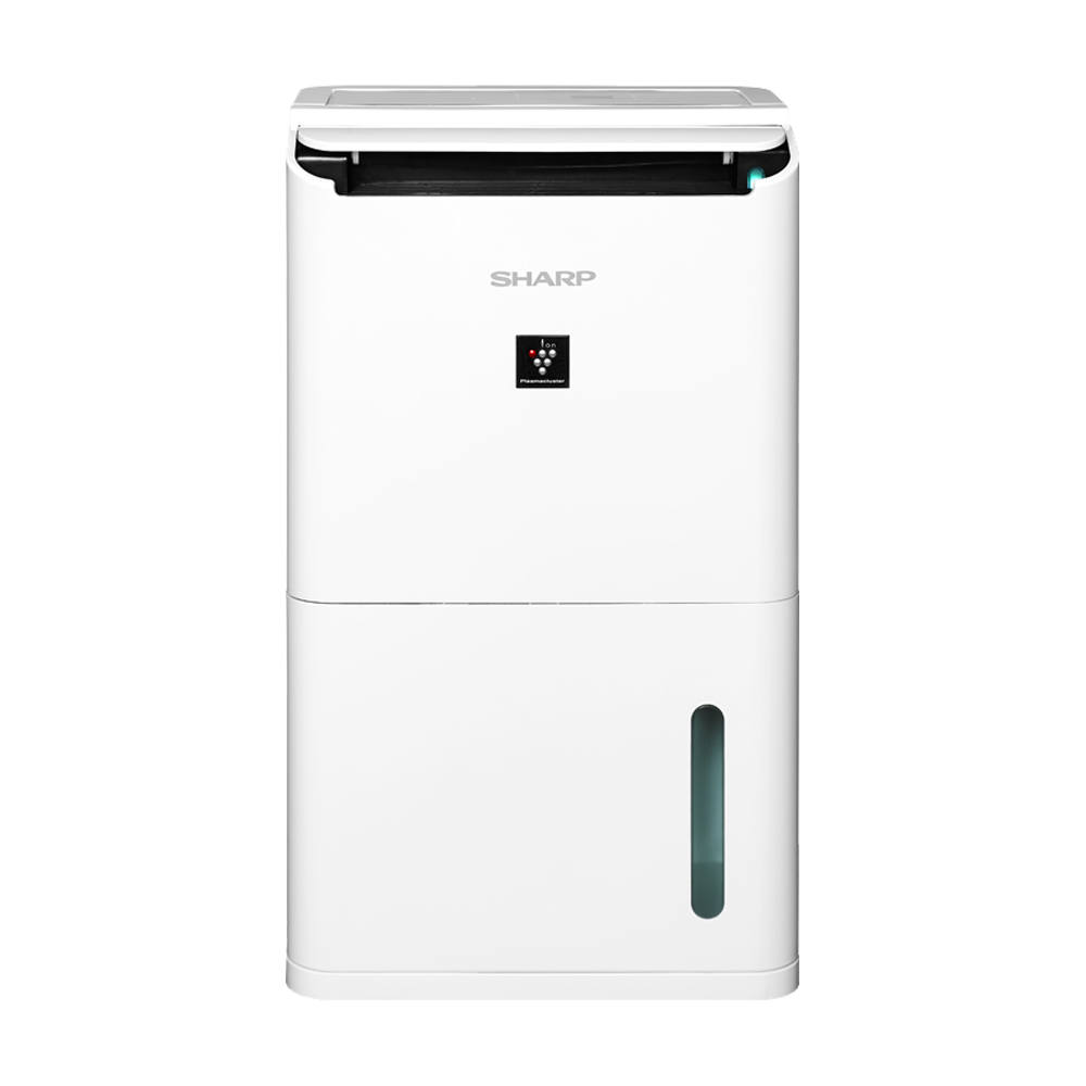 DW-WT10HT-W